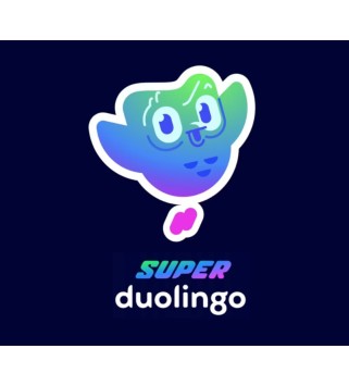 Super Duolingo 1 Jahr Subscription Code FR Key EUROPE